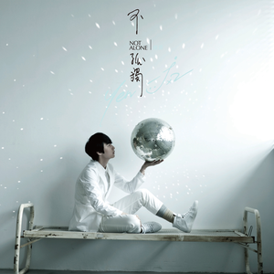 南阳路灯厂家用小鸭营销导航
