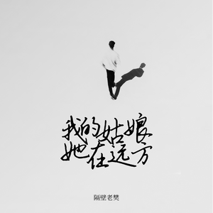 南阳路灯厂家用小鸭营销导航
