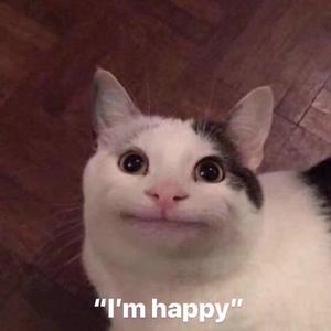 南阳路灯厂家用小鸭营销导航
