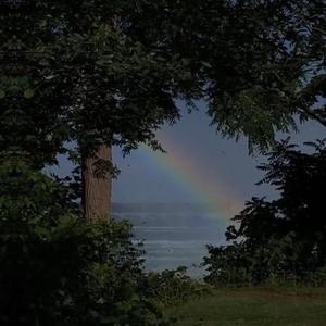 南阳路灯厂家用小鸭营销导航
