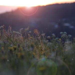 南阳路灯厂家用小鸭营销导航
