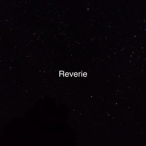 南阳路灯厂家用小鸭营销导航
